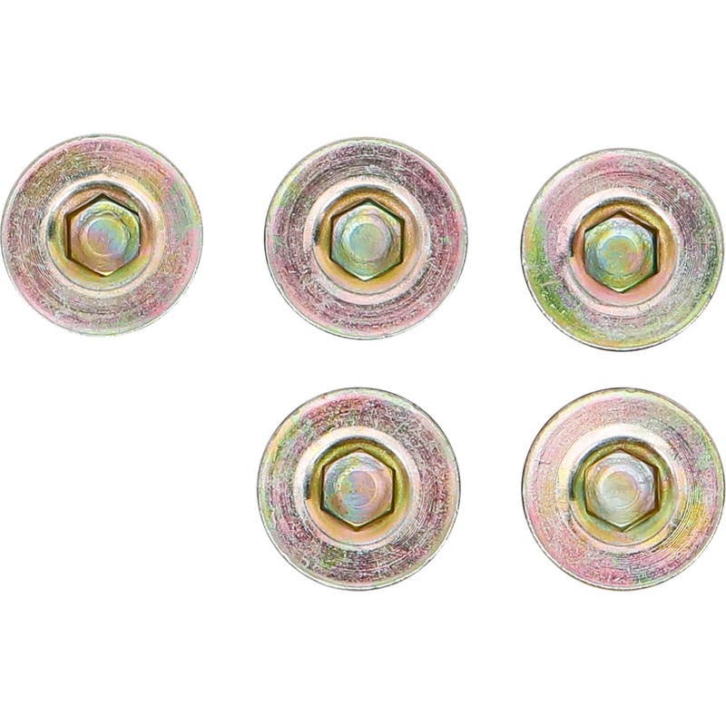 BGS M17x1,5 drain plugs, 5 pieces for product126, BGS-126-SM17