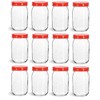 Nakpunar 12 pcs 16 oz Mason Jars with Red Lids