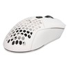 Wireless Mouse 2.4G Or BT5.1 Adjustable DPI Hollowed Out RGB