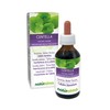 Gotu kola (Centella asiatica) herb Alcohol-Free Mother Tincture Naturalma |