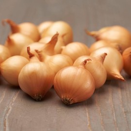 Winter Onions Stuttgart Giant (500 g) - Winter Bulbs Hardy - High Quality from Holland (no Seeds) - Mild Sharp Vegetable Onions, Bulbs, Size 14-21 mm