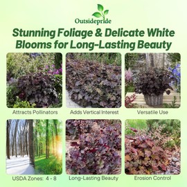 Outsidepride Coral Bells Palace Purple Heuchera Seeds - 4000 Pcs Perennial Flower Seeds for Planting with Bell-Shaped Blooms & Colorful Foliage for Borders, Containers, Ground Covers, & Rock Gardens