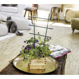 Windhager Flower Support Trellis Trellis Plastic Straight Green 25.5 x 15 cm 05710
