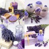 Lavande Sur Terre Dried Lavender Flower Buds for Crafts, Baking,