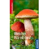 Welcher Pilz ist das?