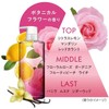 LUX Premium Botanifique Treatment, Damage Repair, Intensive Oil (Rinse-free Oil),