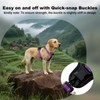 Plutus Pet Adjustable No Pull Dog Harness with Leather Accents,