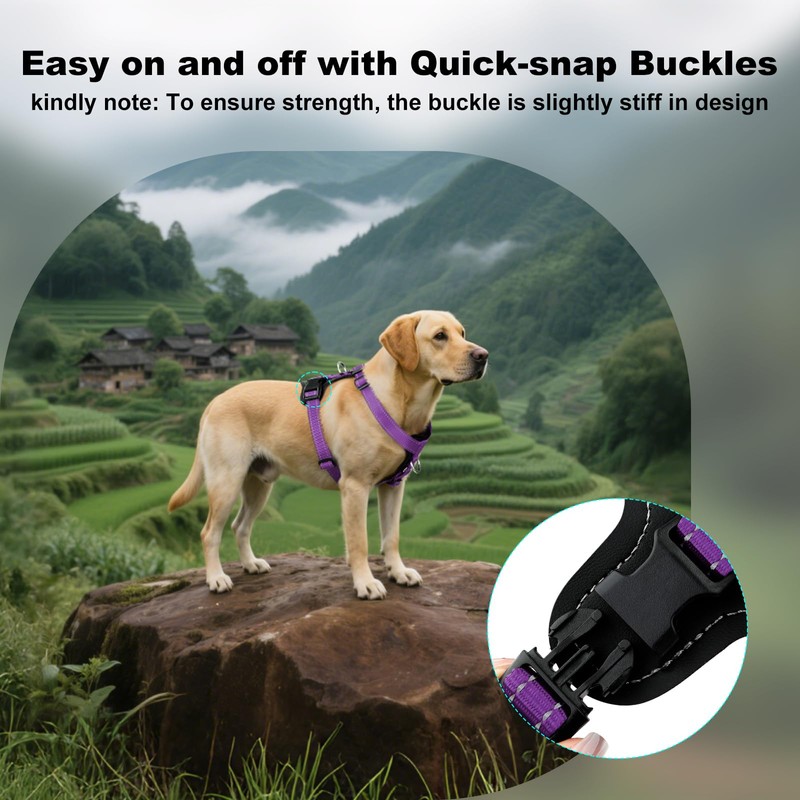 Plutus Pet Adjustable No Pull Dog Harness with Leather Accents,
