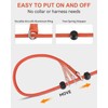 Joytale Tangle-Free Slip Leads for Dogs, 6 FT Slip Leash