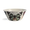 Metamorphosis Serving Bowl