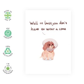 Central 23 Get Well Soon Card - 'Dog Wearing Cone' - Sweet Recovery Gifts For Men And Women - For Dad Mum Daughter Son Friends - Comes With Stickers