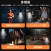 work light (black)