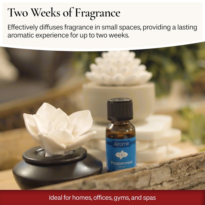 Airomé White Flower, Porcelain Passive Essential Oil Diffuser (with 15ml