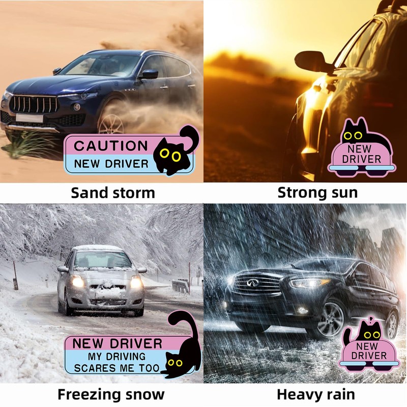 4pcs New Driver Car Magnet Set - Black Cat Design,