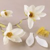 Crepe Magnolia Stem Craft Kit | Paper Flower Making |