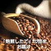 Coffee Beans, Freshly Roasted Machu Picchu Sky (Peru), No Pesticides,