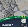 RMR Brands Instant Mold and Mildew Stain Remover Spray -