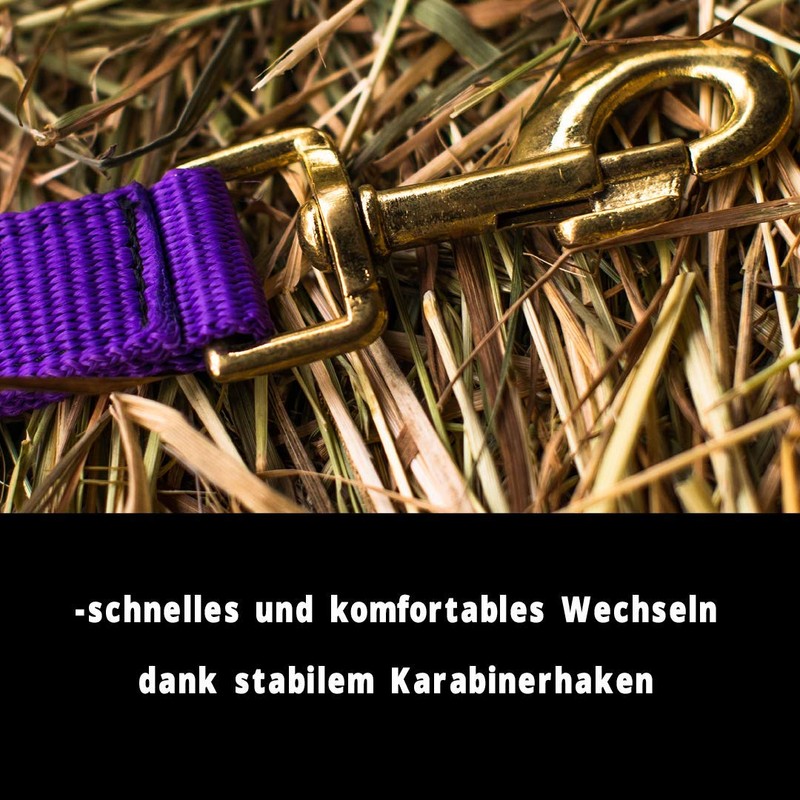 Halter for Horse, Warm-Blood, Thoroughbred, Cold Blood - Stable Halter,