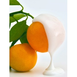 Sera Soothing Cream / 세라 수딩 크림