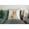 Hippowarehouse Maine Coon Ginger Cat Printed accessory cushion 41x41cm