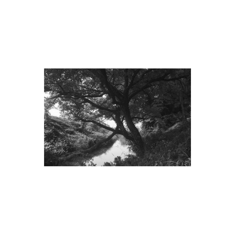 Hoya 67mm Infrared R72 Filter