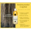 1 Restaurador Capilar Autentico Jehesmipa 500ml