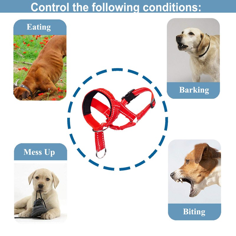 ILEPARK Dog Head Collars for Training, Colorful Head Harness for