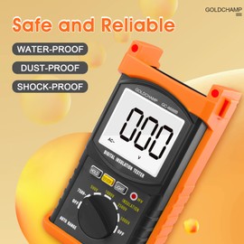 Digital Insulation Resistance Tester, GC-6688B 200G Ohm Megohmmeter for Test Voltage (500V/1000V/2500V/5000V) & Resistance Measurement (1MΩ~200GΩ), Auto Ranging, Backlight Display, Data Hold