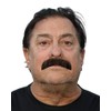 City Costume Wigs Dark Brown Freddie Mercury Burt Reynolds Downturn