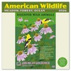 Wildlife Mini Wall Calendar 2026 7" x 7"
