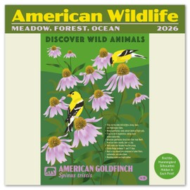 Wildlife Mini Wall Calendar 2026 7" x 7"