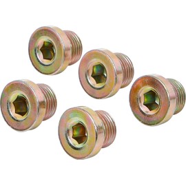 BGS M17x1,5 drain plugs, 5 pieces for product126, BGS-126-SM17