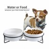 Elevated Dog Bowl Iron Frame 6-inch Ceramic Dog or Cat