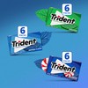 Trident Sugar-Free Chewing Gum Variety Pack Candy, Spearmint, Perfect Peppermint