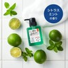 haru Men's Scalp Pro Shampoo (300ml x 2 / Men