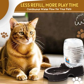 Flexzion Automatic Gravity Pet Waterer for Cat & Dog - Non-Skid & Easy-Clean Auto Replenish Water Dispenser Drinking Bowl (1/4 Gallon/ 900ml), Black