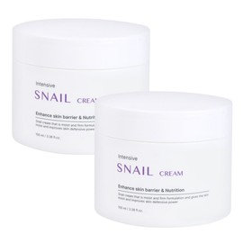(2ea) Foodaholic Intensive Snail Cream 100ml/Moisture Cream Barrier Strengthening Wrinkle Improvement High Moisture / (2개)푸드어홀릭 인텐시브 스네일 크림 100ml수분크림 장벽강화 주름개선 고보습