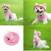 Leconpet Gorro de princesa para perro con correa para el
