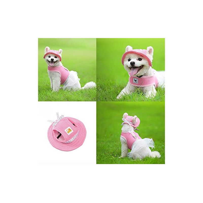 Leconpet Gorro de princesa para perro con correa para el