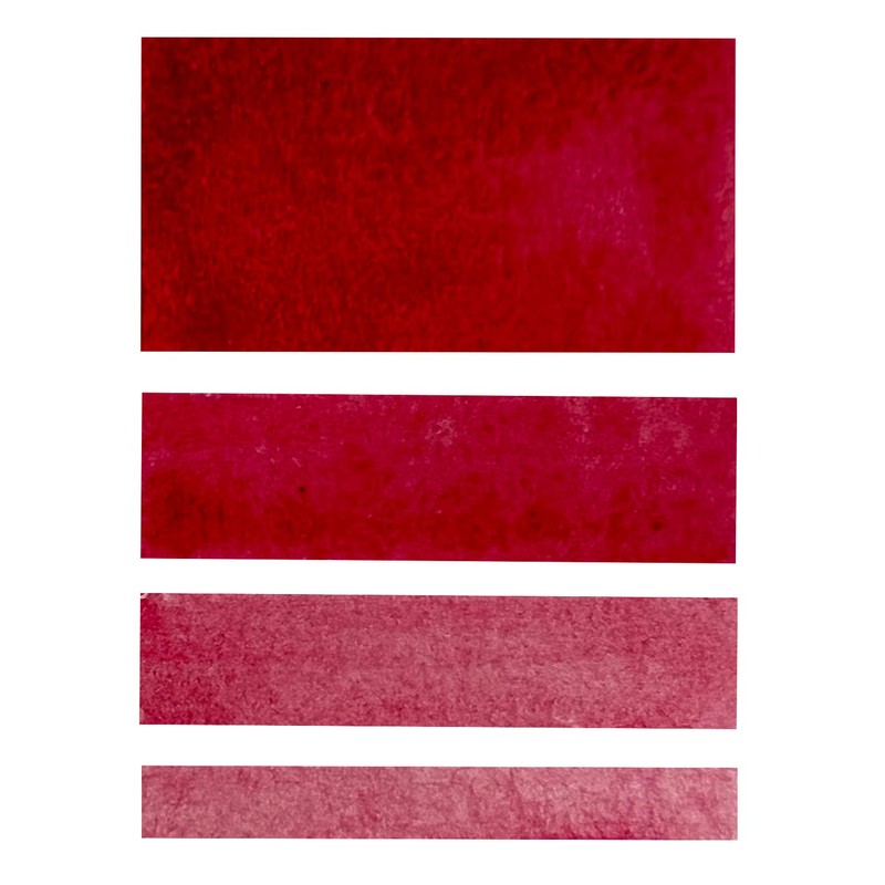 CSY art gallery Watercolor Paint (Essential)