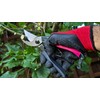 Sam 101 and Sam 101+ Secateurs Clips