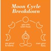 Moon Cycle Seed Company Seed Cycling Kit - Pumpkin, Flax,