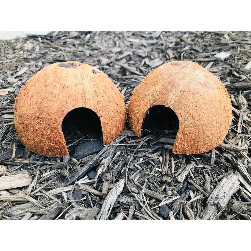 Hexagrowth Coco Hut, Betta Fish cave, Shrimp Hideout, Pleco shelter,