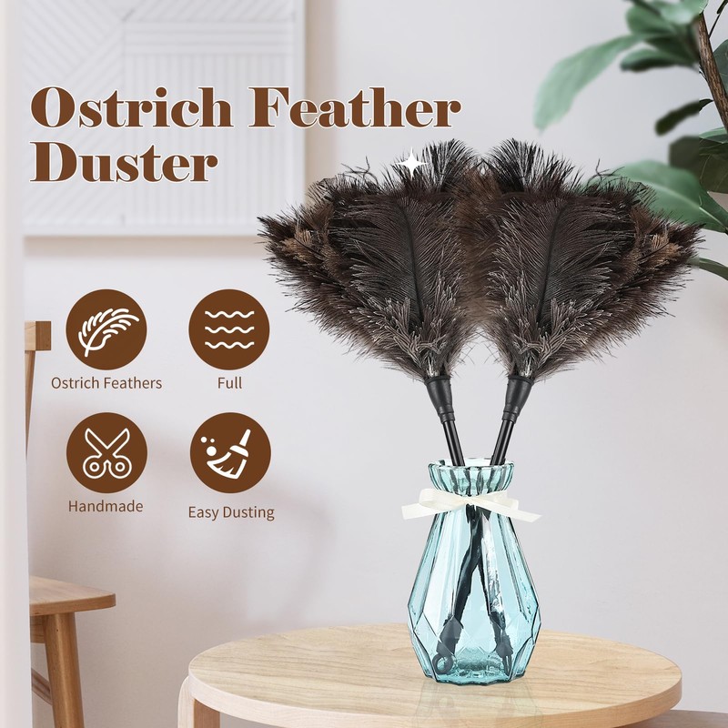 Natural Ostrich Feather Duster 14.9 inch Fluffy Mini Dusters with