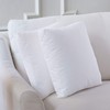 27x27x3 Hypoallergenic Luxury 100% Small Feather Boxed Euro Pillow Insert,