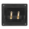 Speaker Terminal, Acoustic Components for HiFi Speaker 2 Copper Binding