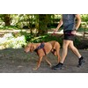Rogz Airtech Ultra Lite Dog Lead, Nightsky Black, Medium