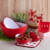 Hobby Lobby Boxwood Placemat- Set of 4