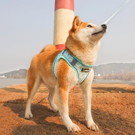 Serepet Dog No Pull Harness for Small Medium Puppies, Step in, No Choke & Soft Breathable Vest Harnesses for Walking Running Training, with Leash Set, L Green Texture