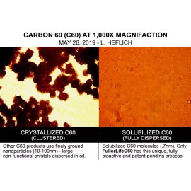 Fullerlife C60 Mint Strips**